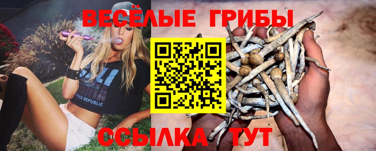 Галлюциногенные грибы Cubensis Удомля