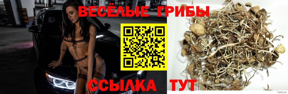 Галлюциногенные грибы GOLDEN TEACHER  Вход с VPN  Удомля  Галлюциногенные грибы ЛСД 